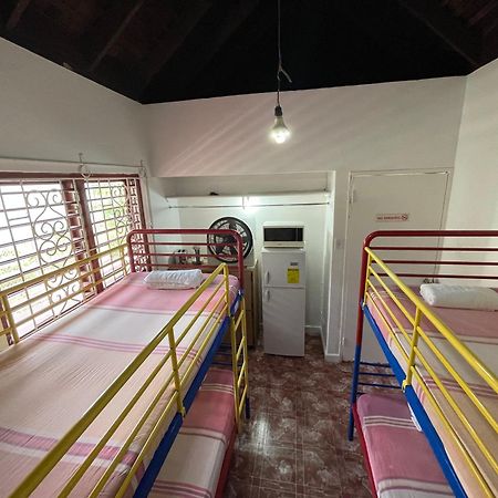 The Lodge @ Peaceful Palms مونتيغو باي المظهر الخارجي الصورة