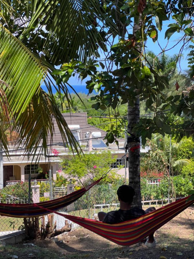 The Lodge @ Peaceful Palms مونتيغو باي المظهر الخارجي الصورة