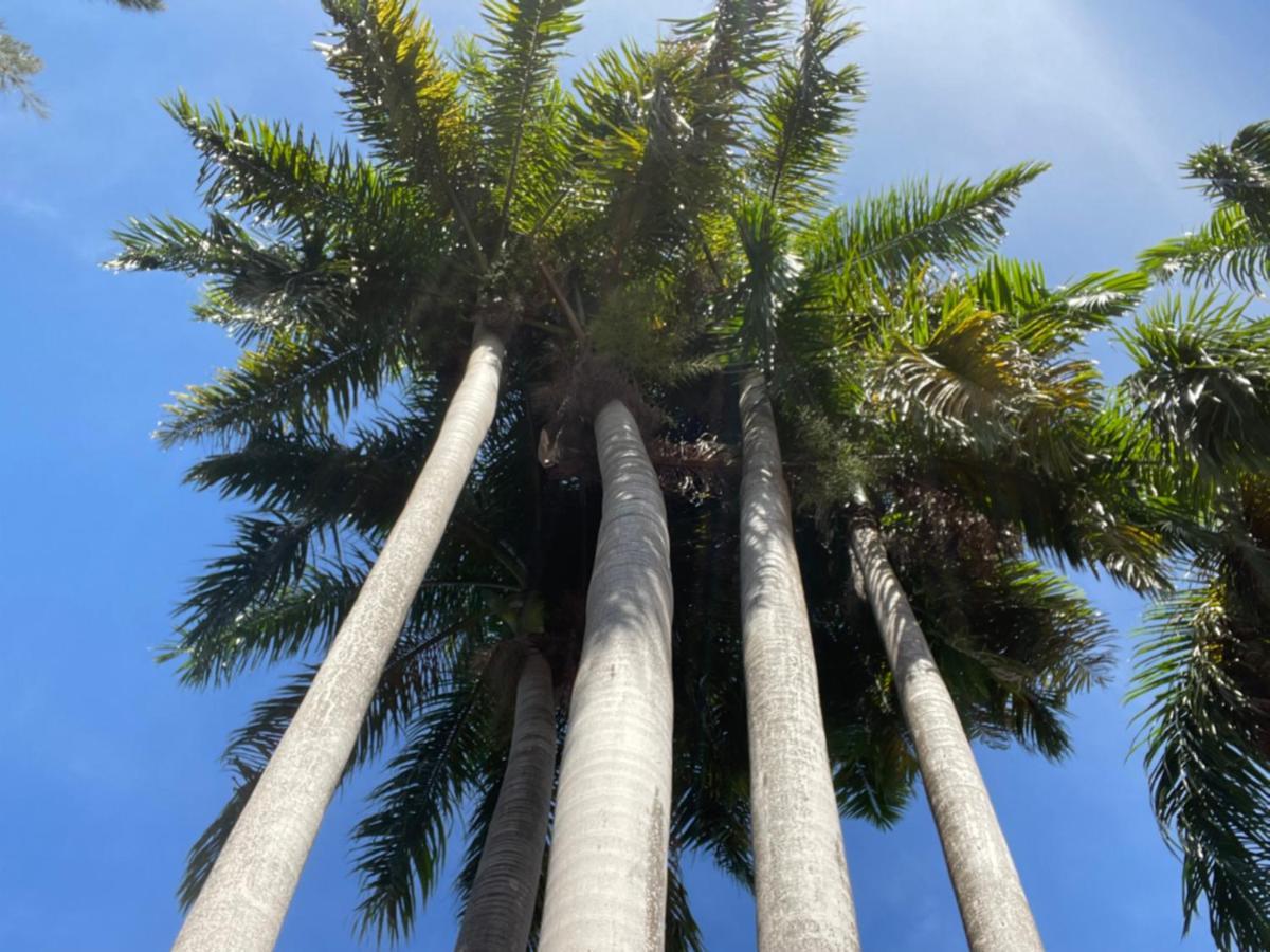 The Lodge @ Peaceful Palms مونتيغو باي المظهر الخارجي الصورة